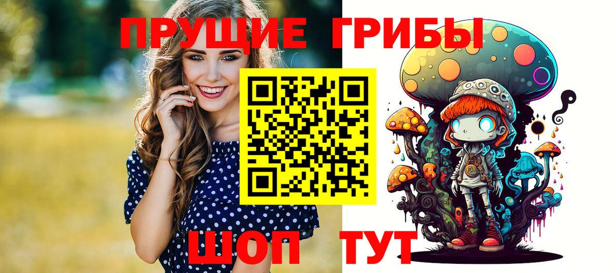 Псилоцибиновые грибы GOLDEN TEACHER Приморско-Ахтарск